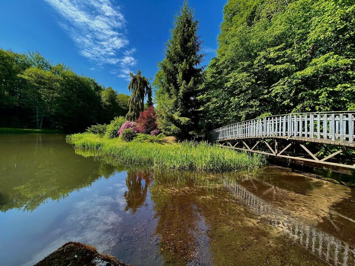 Domek W Glebi Lasu Nad Stawem Wierszyno Buitenkant foto